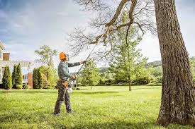 Best Commercial Tree Services  in Lambertville, MI